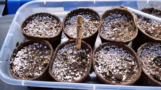 Seed Starting,  everything from soil to potting.