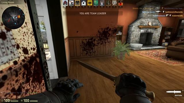 -HG- FLYBOY - GOLDEN KNIFE TROLLIN' ft. BRGR. ! :) [CS:GO SNIPPET]