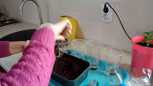 Хороший способ пикировки.