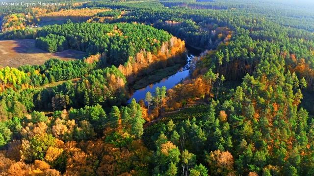Эту музыку можно слушать вечно! Самая красивая мелодия в мире! Музыка для души от Сергея Чекалина!#