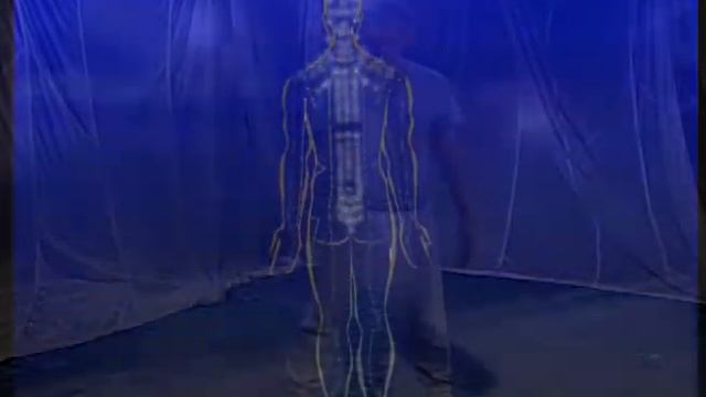 The Complete Idiot's Guide to T'ai Chi & Qigong: Chapter 1 - Overview of Book's Web Video Support