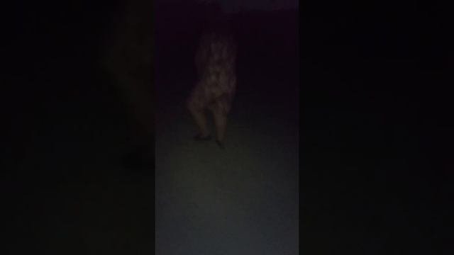 На даче сори зо ни полную версию видоса памяти не хватает ?