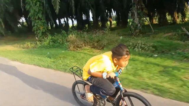 Lajak K.P.A