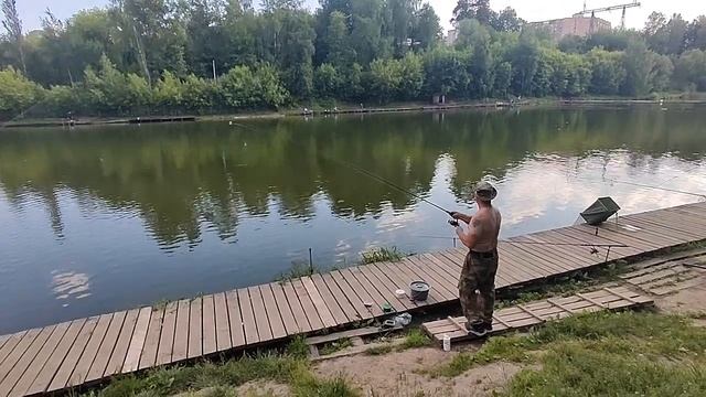 Поимка Белого Амура и сход Карпа