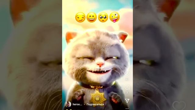 Котик супер!