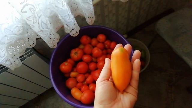 Выращиваем пекинскую капусту без труда)))