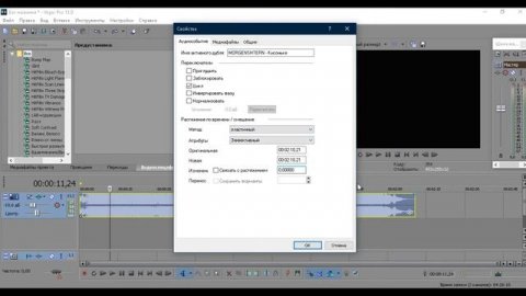 КАК МЕНЯТЬ ГОЛОС В SONY VEGAS? - сейчас покажу!