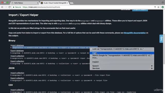 4  Deploy online the local Mongo database