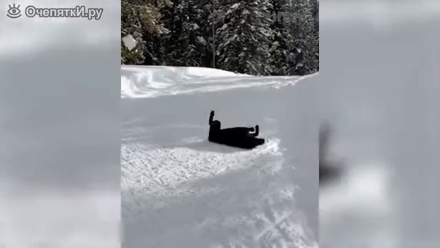 Смешные видео про животных (2часть)