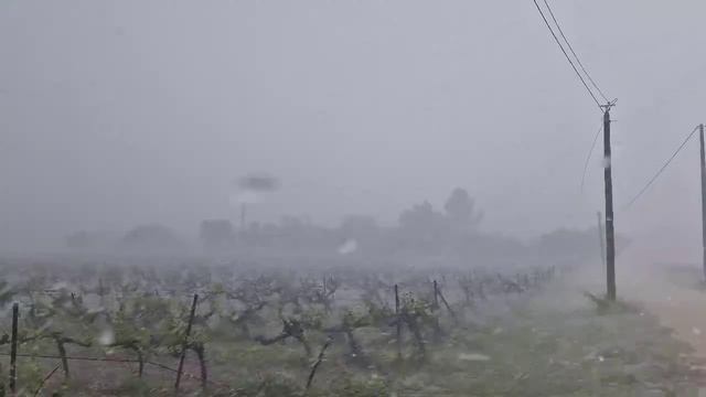 ⚪Сильнейший град накрыл виноградники в коммуне Ольер, департамент Вар, Франция