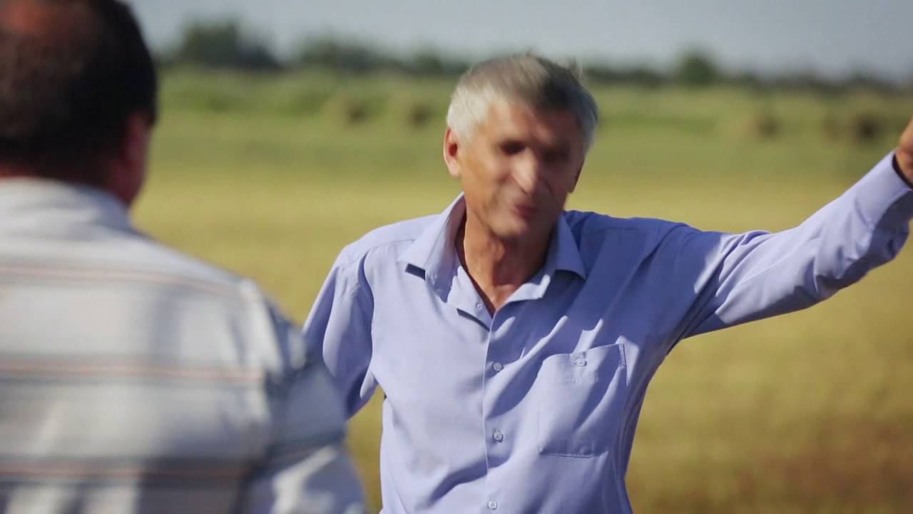 Единая Россия. Выборы-2016. (Лавриненко.)