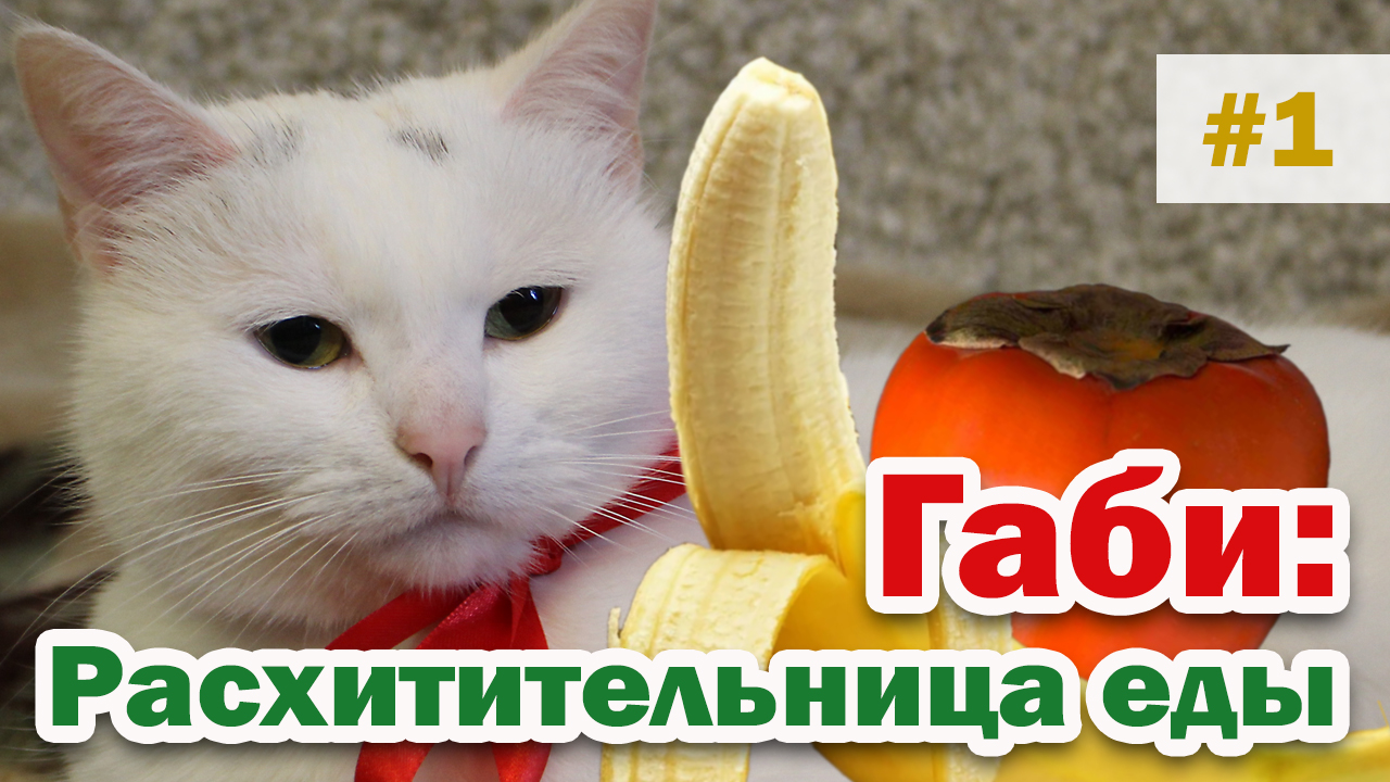 КОШКА, КОТОРАЯ ЕСТ ВСЁ I Габи и 10 видов еды. 1 серия