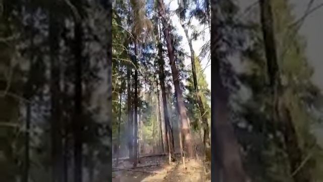 Нашли базу отдыха в лесу...