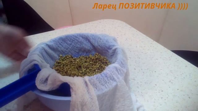 Как проростить маш