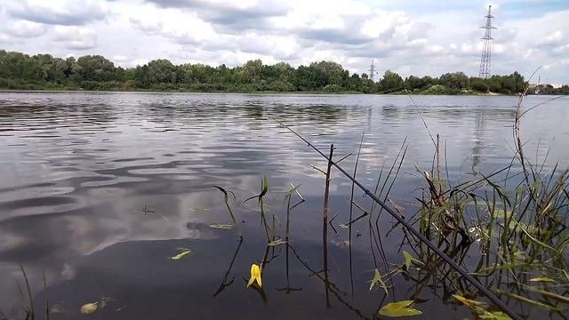 рыбалка грибы