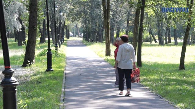 Аварию в парке 30-летия Октября оценили местные утки, но не приняли горожане и коммунальщики