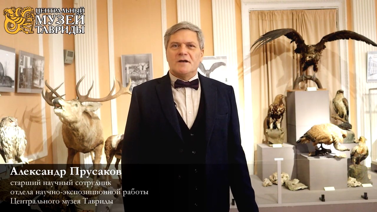 "Звери и птицы Крыма"  в музейной экспозиции