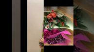 Класс Светланы Магдальчук