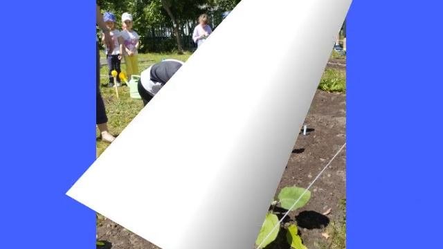Высадка огорода в дошкольном отделении