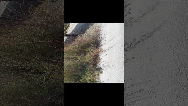 VID_20240916_115345
