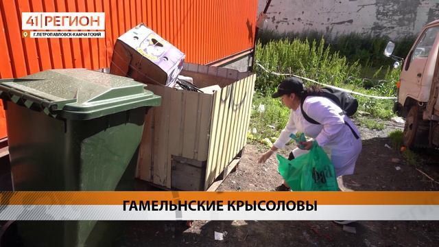 ДЕРАТИЗАЦИЯ НАЧАЛАСЬ В ТОРГОВЫХ ЦЕНТРАХ ПЕТРОПАВЛОВСКА-КАМЧАТСКОГО • НОВОСТИ КАМЧАТКИ