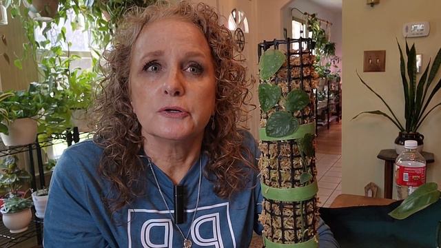 Hoya flowers & Moss Pole Updates