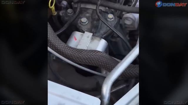 Donday. Змея под капотом