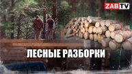 Жители Карповки: «Строители губят наш лес»