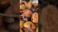 Почему нельзя выбрасывать скорлупу от кокоса #бали