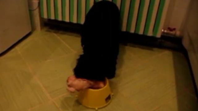 Король Акс