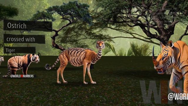 TIGER and ANIMALS Hybrids | Rhino, Elephant, Giraffe