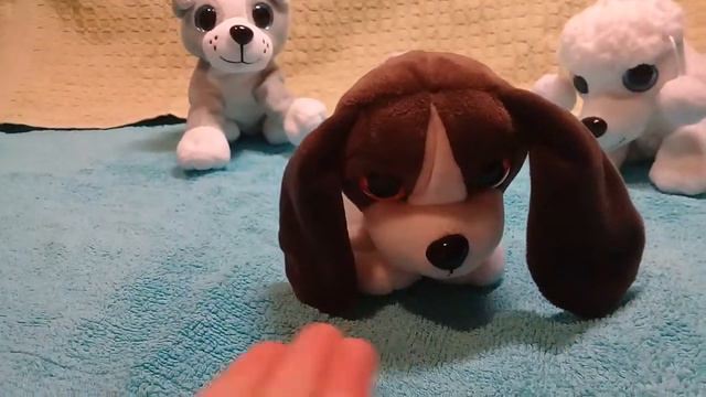 Обзор игрушки sweet pups   ищем друга для щенят