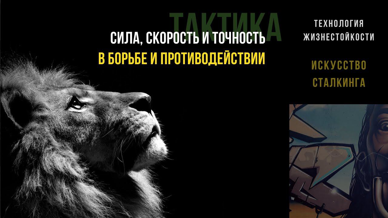Сила, скорость и точность в борьбе и противодействии | ТАКТИКА