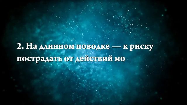 К чему снится гулять с собакой - Онлайн Сонник Эксперт