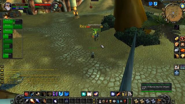 WoW Classic WSG Nub PVP