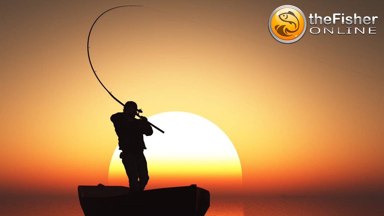 Рыбалка в удовольствие ч2 | Fisher Online 🦈