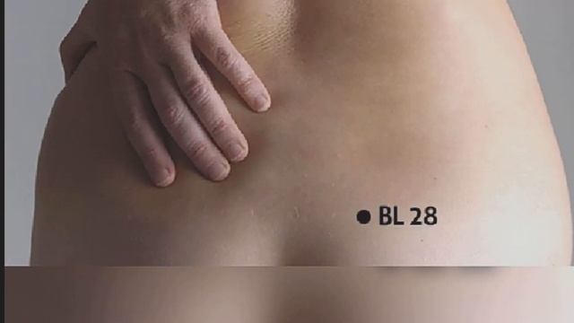 Точки для укрепления Почек и Мочевого пузыря #акупрессурадляпочек