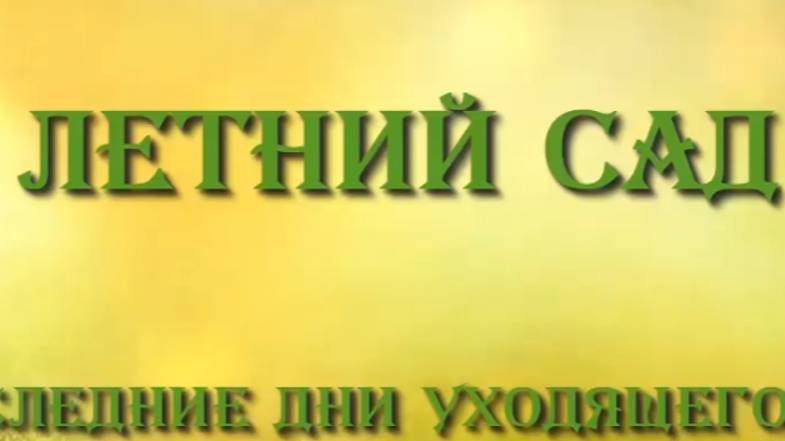 Летний сад. Последние дни уходящего лета.