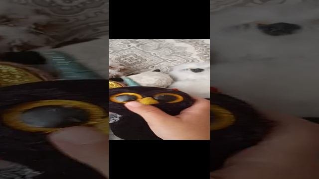 1000038370.mp4