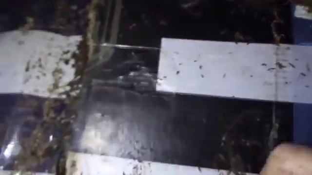 Подготовка субстрата для сепарации/Разведение червя дендробена