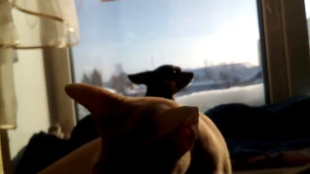 Скоро весна