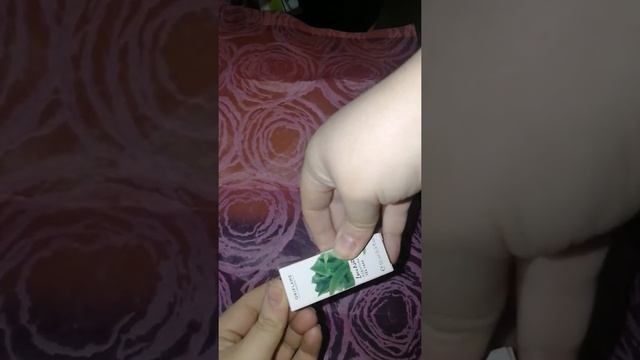 Похвастушка #1 каталог #4 март 2019год