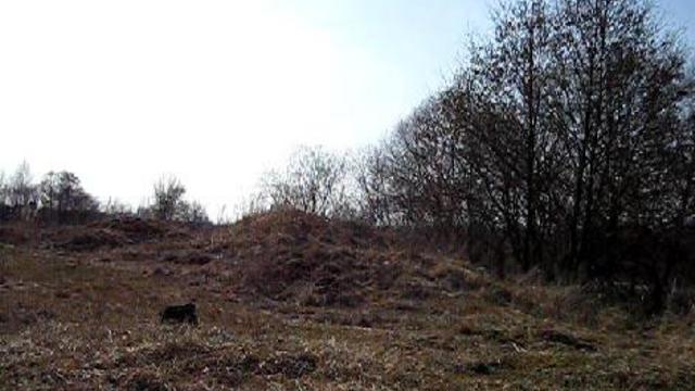 короткая праща