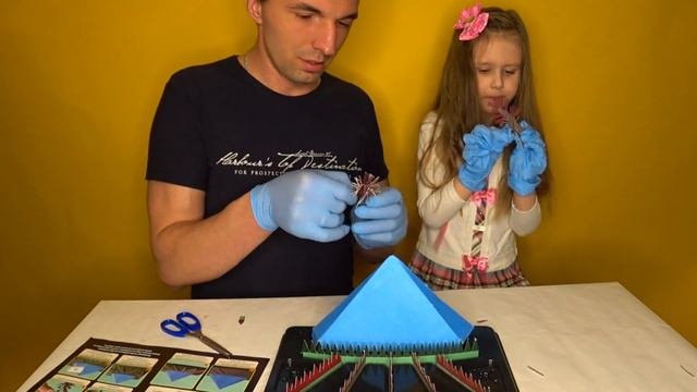 Сад в кристаллах! Набор для опытов. Эксперимент :)