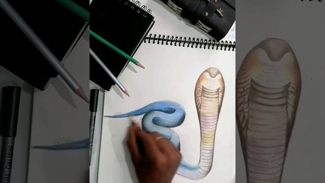 3D DRAWING OF BLUE SNAKE | | Sufi art