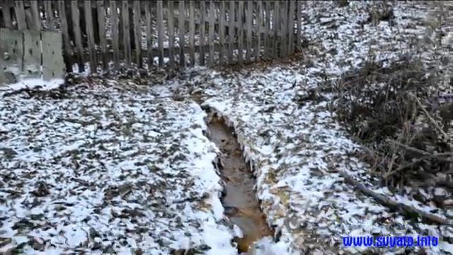 Святой источник во имя Пророка Божиего Илии у села Назайкино