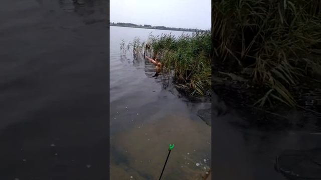 Приколы на рыбалке.