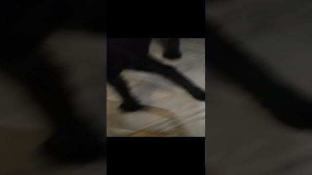 мы играем с Джеком