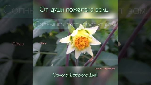 Открытка - Самого доброго дня вам!