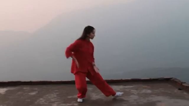 Пять зверей. Кунг-фу